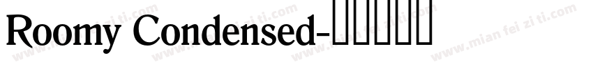 Roomy Condensed字体转换